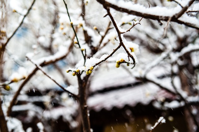 战术层面上